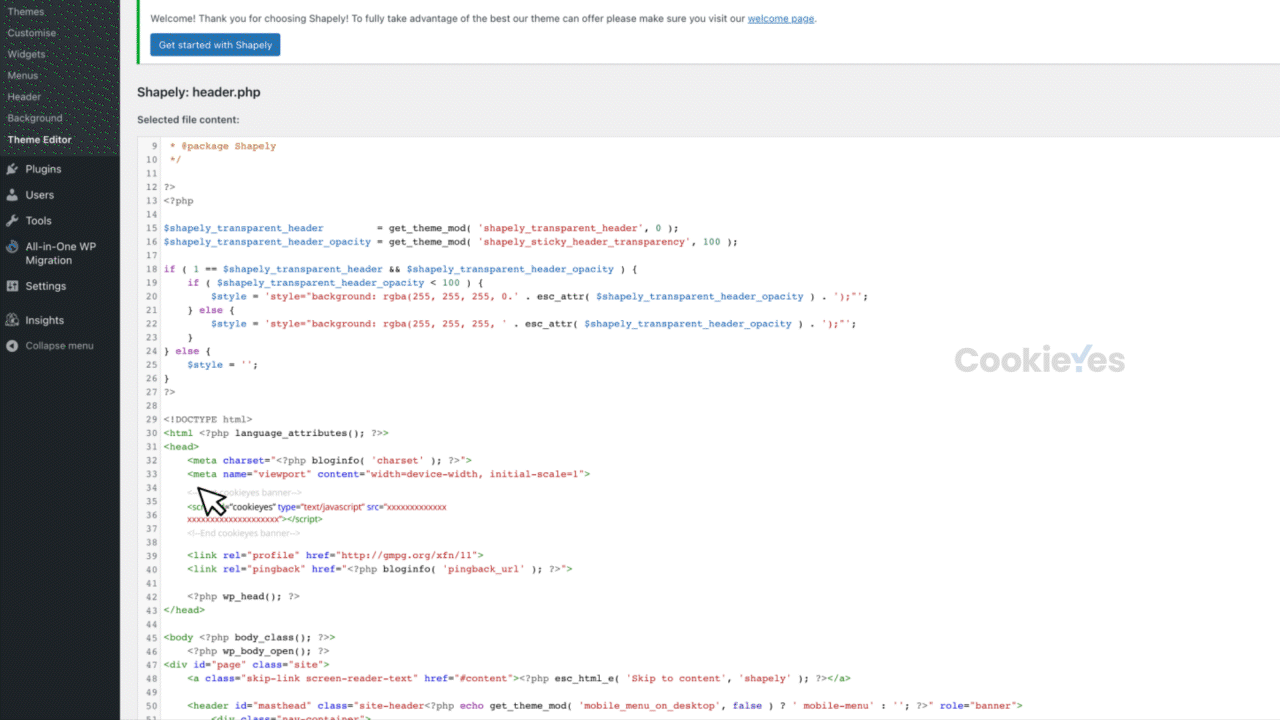 Step 3 cookie banner installation on wordpress